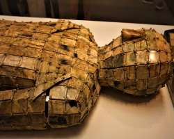 The museum has also preserved a Han Dynasty jade burial suit which is laced with gold thread, A bat-shaped bronze vessel belonging to Shang Dynasty, a